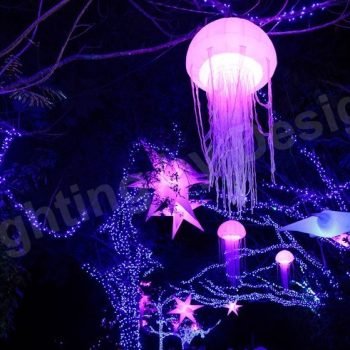 Christmas light installers