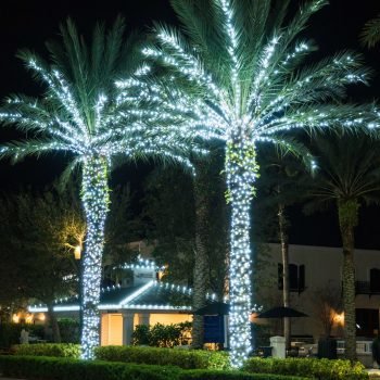 Christmas light installers